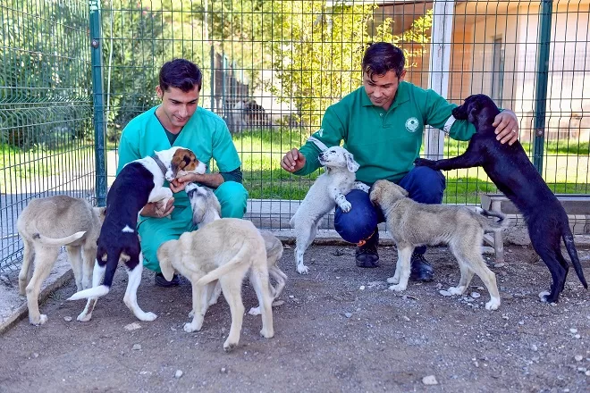 Bozyazı, Anamur ve Aydıncık olmak üzere 3 ilçeye hizmet veren