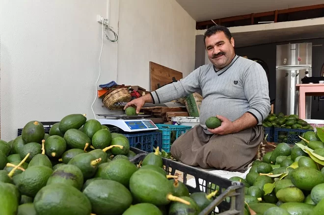 ‘Destek Büyükşehir’den Üretim Çiftçiden’ sloganıyla yerli üreticilerin yanında olan Mersin