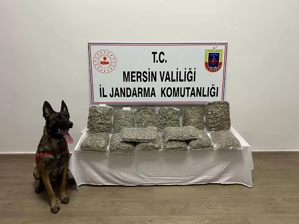 Jandarmadan Uyuşturucu Madde Operasyonu