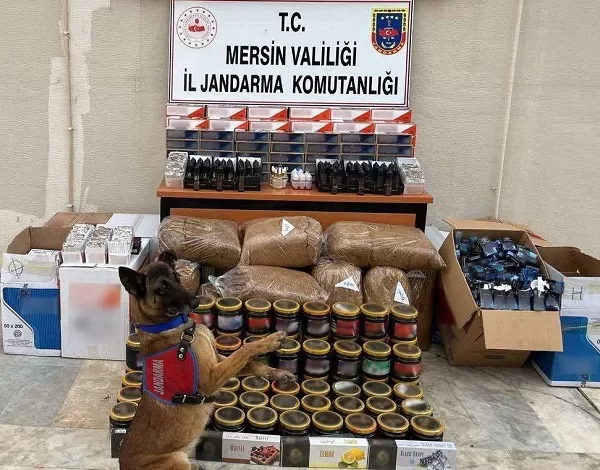 MERSİN (ACİL HABER)-Mersin İl Jandarma Komutanlığı ekipleri, sigara kaçakçılığı ile