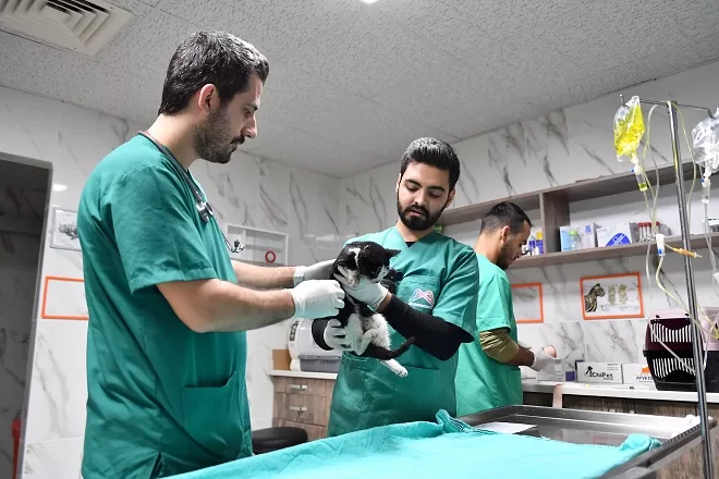 Mersin’de yaşayan patili dostların 2. yuvası olan Mersin Büyükşehir Belediyesi