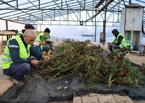 Mersin’in merkez ilçesi Toroslar Belediyesi, belediye serasında Cumhuriyetimizin 100. yılına