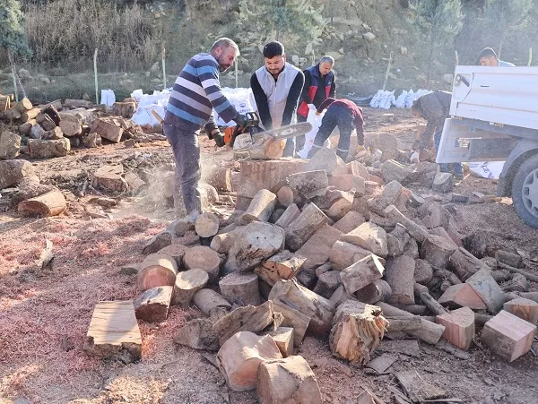 Mersin’in merkez ilçesi Toroslar Belediyesi, budanan ağaçların dallarını vatandaşlara yakıt