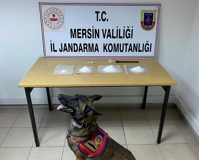 Mersin İl Jandarma Komutanlığı ekipleri uyuşturucu madde ticareti yapan şahıslara
