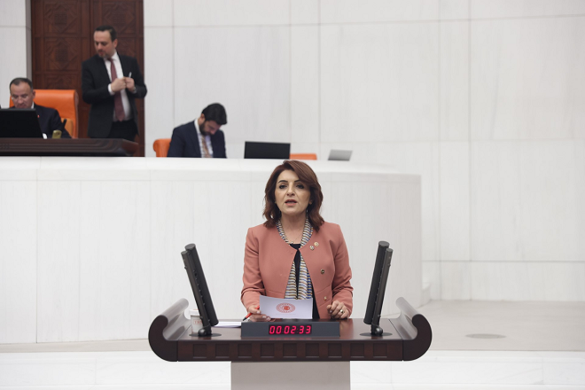 CHP Mersin Milletvekili Gülcan Kış, TBMM’de AKP ve MHP oylarıyla