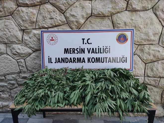 MERSİN’DE UYUŞTURUCU OPERASYONU