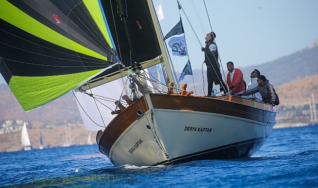 Maximiles Black 36.