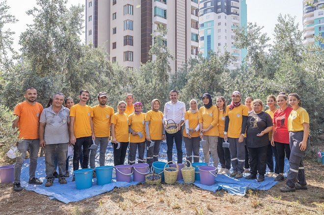 Mezitli Belediye Başkanı Ahmet Serkan Tuncer, zeytin hasadında bulunarak önemli