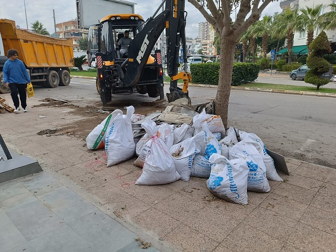 Mersin Yenişehir Belediyesi evsel katı atık niteliği taşımayan ağaç budama,