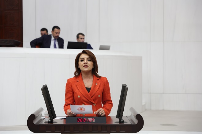 GÜLCAN KIŞ: EYLÜL VELİNİN DERT AYI OLDU