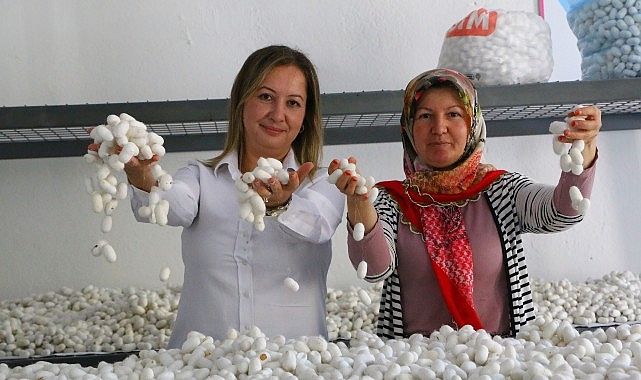 Antalya Büyükşehir Belediyesi tarafından Alanya Sapadere’de oluşturulan İpek Evi Üretim