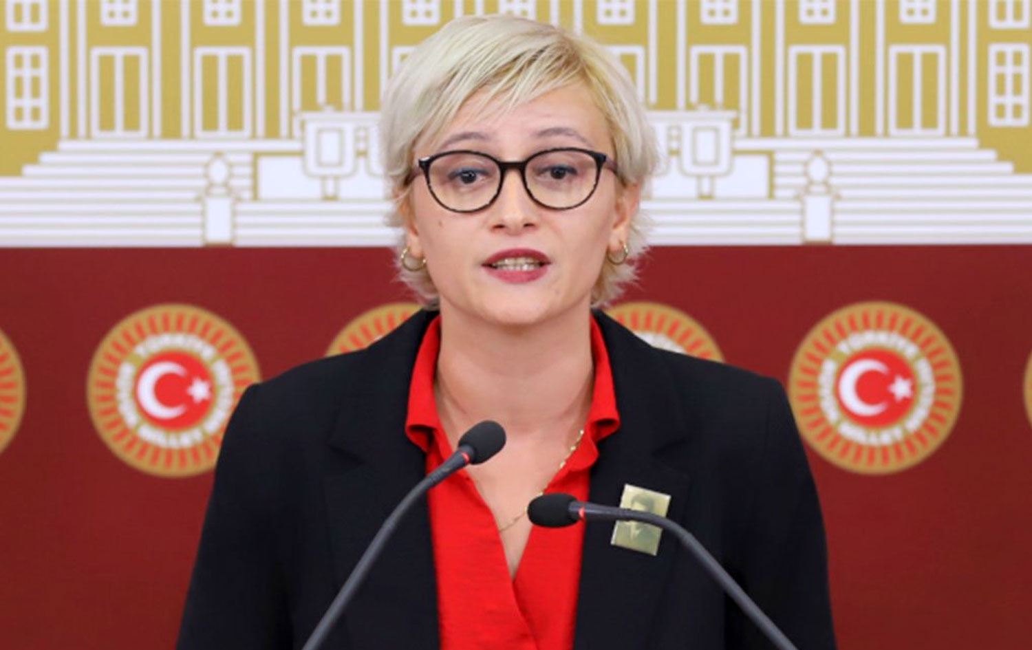 Toplumsal Özgürlük Partisi Sözcüler Kurulu üyesi ve DEM Parti Mersin