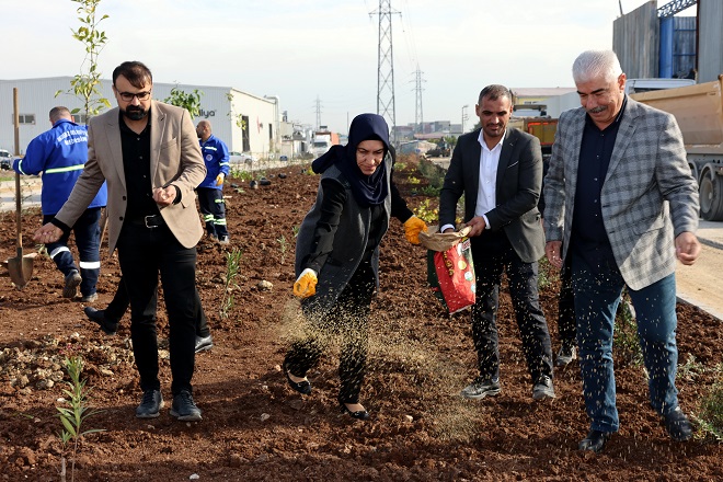Akdeniz Belediyesi, daha yeşil bir kent yaratmak, böylelikle ilçe genelinde