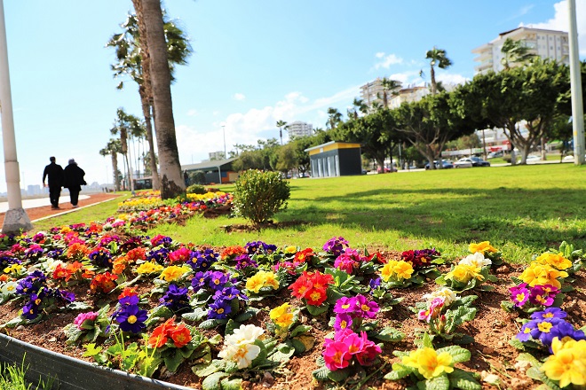 Mersin Büyükşehir Belediyesi Park ve Bahçeler Dairesi Başkanlığı, 2024 yılında