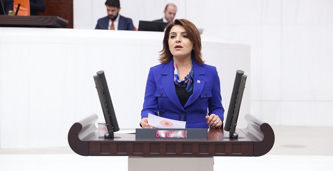 Cumhuriyet Halk Partisi (CHP) Mersin Milletvekili Gülcan Kış, Türkiye Büyük