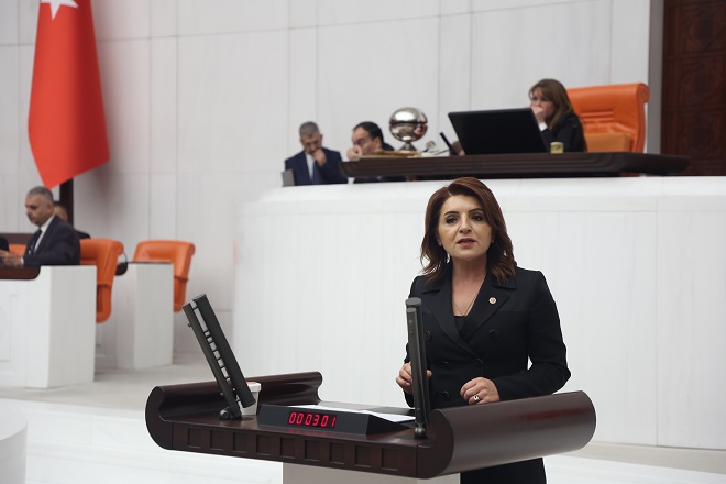 CHP Mersin Milletvekili Gülcan Kış, TBMM Genel Kurulu’nda yaptığı konuşmada,
