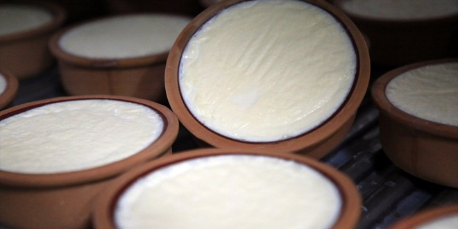 Silifke yoğurdu, Avrupa Birliği’nden (AB) coğrafi işaret tescili alarak tescilli