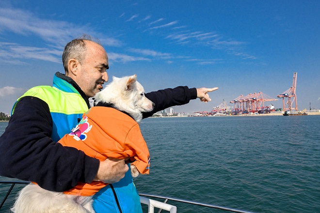 Mersin Büyükşehir Belediyesi Çevre Koruma ve Kontrol Dairesi Başkanlığı’nın Kaşlı