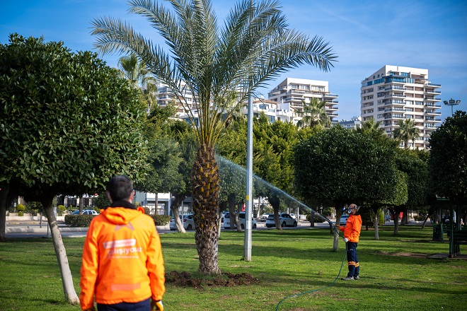 Mersin Büyükşehir Belediyesi Park ve Bahçeler Dairesi Başkanlığı ekipleri, özellikle