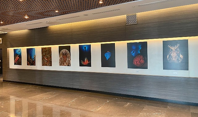 Memorial Bahçelievler Hastanesi’nin ev sahipliği yaptığı sualtı dünyasının büyüleyici güzelliklerini