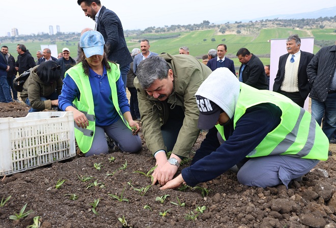Toroslar Belediyesi, Mersin Şehir Hastanesinin karşısındaki 30 dönümlük arazisini tarımsal