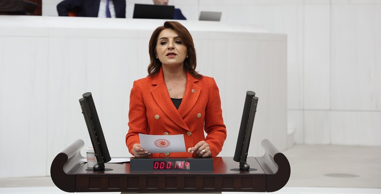 CHP Mersin Milletvekili Gülcan Kış, ekonomik krizin her geçen gün