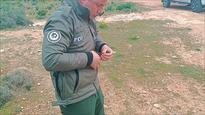 Yaralı ebabil kuşuna polis şefkati