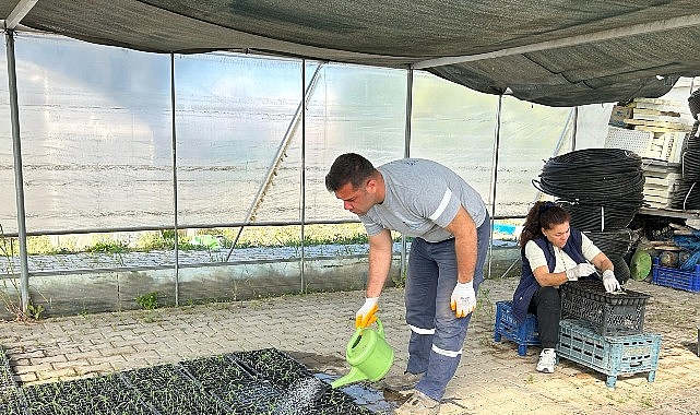 Seferihisar Belediyesi Tohum Takas Şenliği’ne hazırlanıyor    Seferihisar