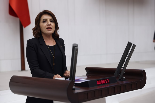 CHP Mersin Milletvekili Gülcan Kış, ekonomide yaşanan çöküşü sert sözlerle