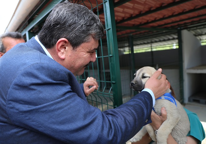 Toroslar Belediye Başkanı Abdurrahman Yıldız, “Biz bütün canlıların belediye başkanıyız.
