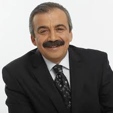 Türkiye Büyük Millet Meclisi (TBMM) Başkanvekili ve DEM Parti Milletvekili