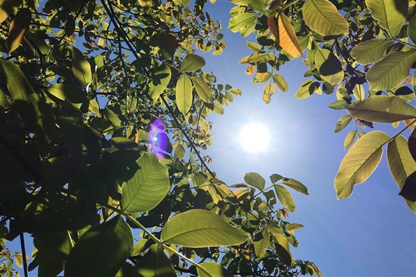 Meteoroloji Genel Müdürlüğü (MGM), ülke genelinde hava sıcaklıklarının hissedilir derecede