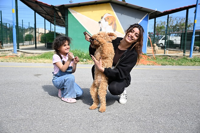 Mersin Büyükşehir Belediyesi Veteriner Hizmetleri Dairesi Başkanlığı’nın, sokak hayvanlarının yaşam