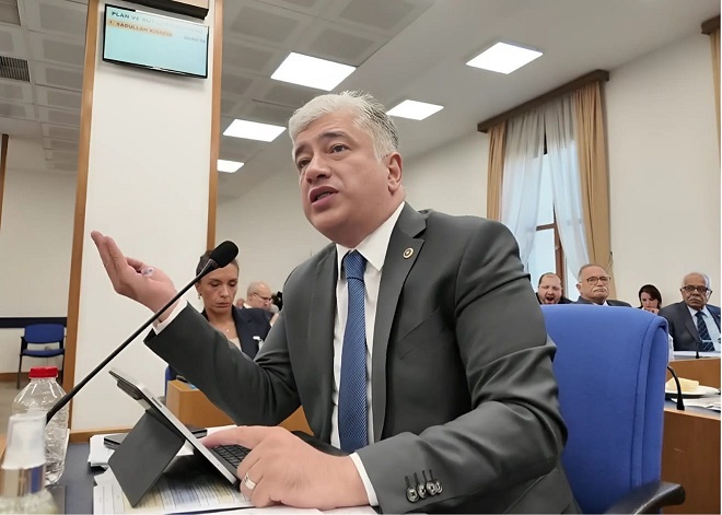 DEVA Partisi Genel Başkan Yardımcısı, Plan ve Bütçe Komisyonu Üyesi
