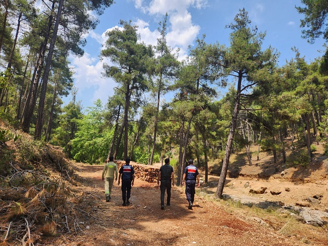 Mersin İl Jandarma Komutanlığı ekipleri yaz sezonunda çıkabilecek orman yangınlarına