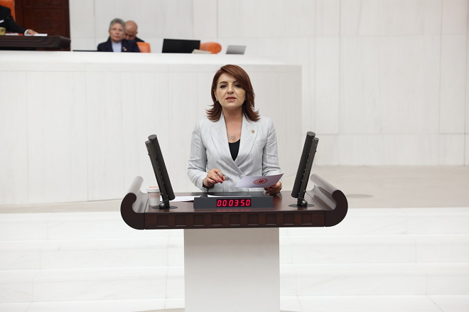 CHP Mersin Milletvekili Gülcan Kış, yaz aylarında artan orman yangınlarına