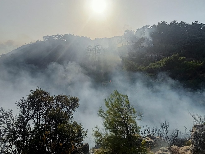 Silifke’de orman yangını 2’nci gününde