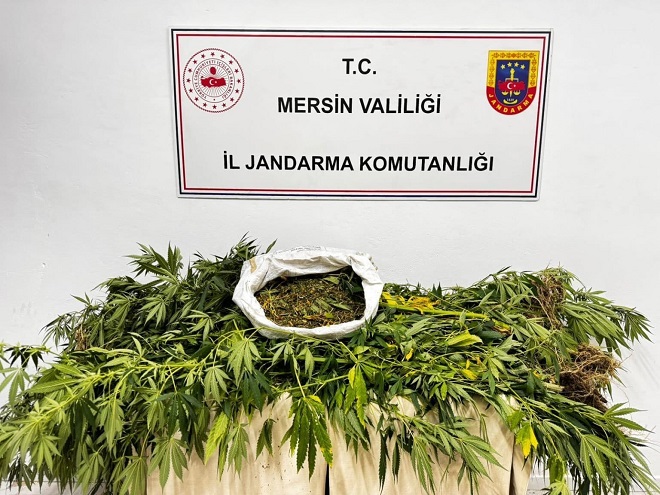 Mersin İl Jandarma Komutanlığı ekipleri düzenlediği operasyonda uyuşturucu madde ticareti