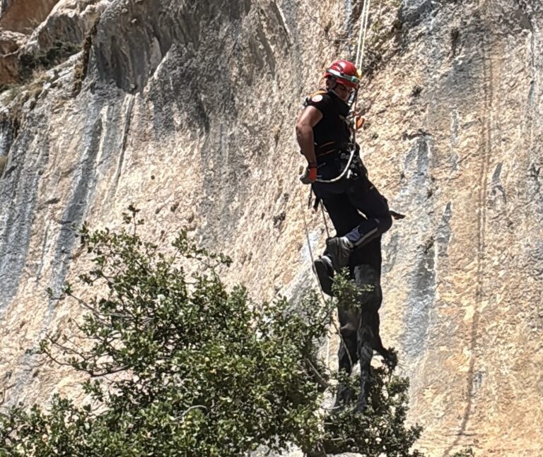 Mersin Büyükşehir İtfaiyesi’nden keçi operasyonu