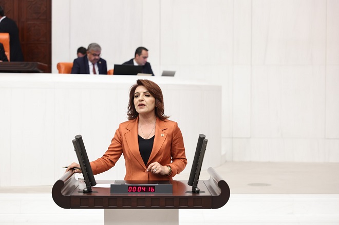 Cumhuriyet Halk Partisi (CHP) Mersin Milletvekili Gülcan Kış’ın aylardır Meclis