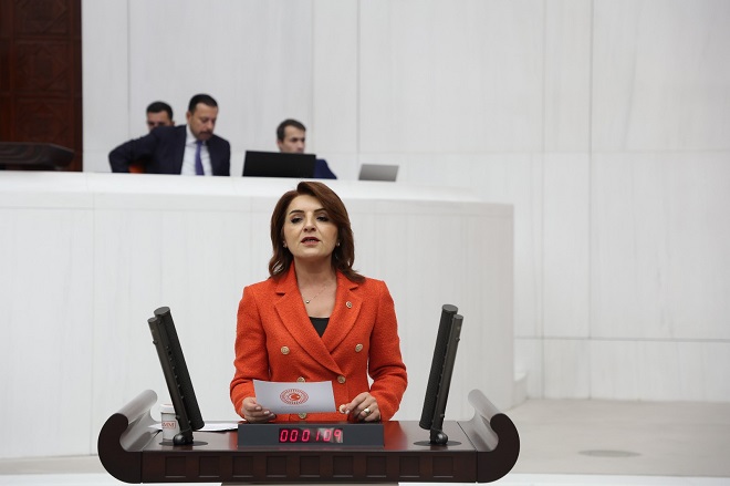CHP Mersin Milletvekili Gülcan Kış, TBMM Genel Kurulu’nda Mersin’in can