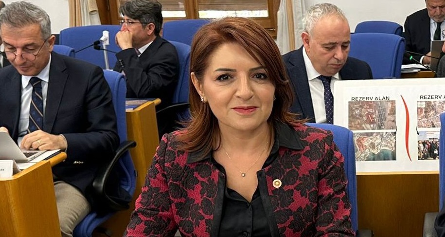 CHP Mersin Milletvekili Gülcan Kış, Türkiye Büyük Millet Meclisi Plan