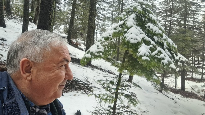 Mersin’in Toroslar Dağları’ndaki yüksek kesimlerinde yer alan sedir ormanları, kar