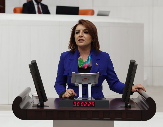 CHP Mersin Milletvekili Gülcan Kış, Cumhurbaşkanı Recep Tayyip Erdoğan tarafından