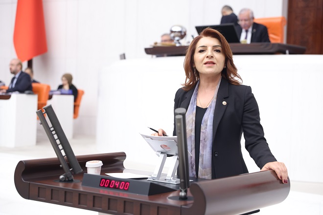 CHP Mersin Milletvekili Gülcan Kış, Türkiye Büyük Millet Meclisi Genel Kurulu’nda