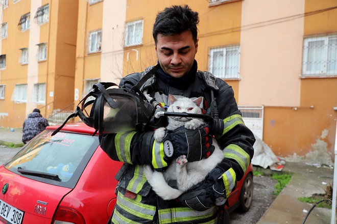 İTFAİYE HAMİLE KEDİYİ KURTARDI