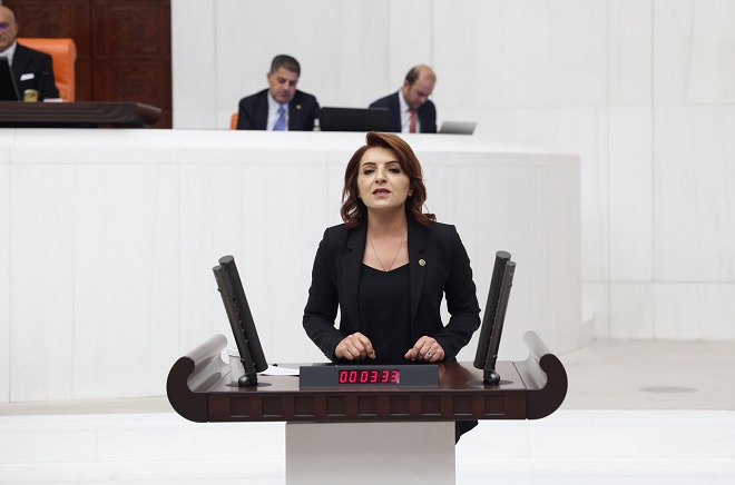 CHP Mersin Milletvekili Gülcan Kış’ın kamu-özel iş birliği projelerindeki garanti