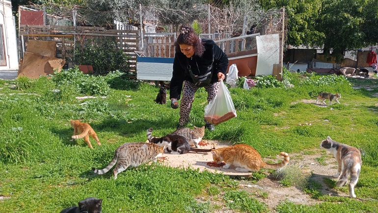 Mersin’de kendini sokak hayvanlarına adayan yerel hayvan koruma gönüllüsü Ayfer
