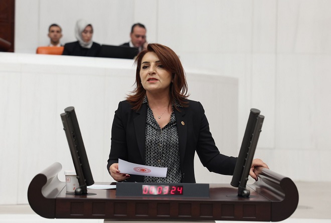 CHP Mersin Milletvekili Gülcan Kış, piyasaya at eti sürmeye çalışan
