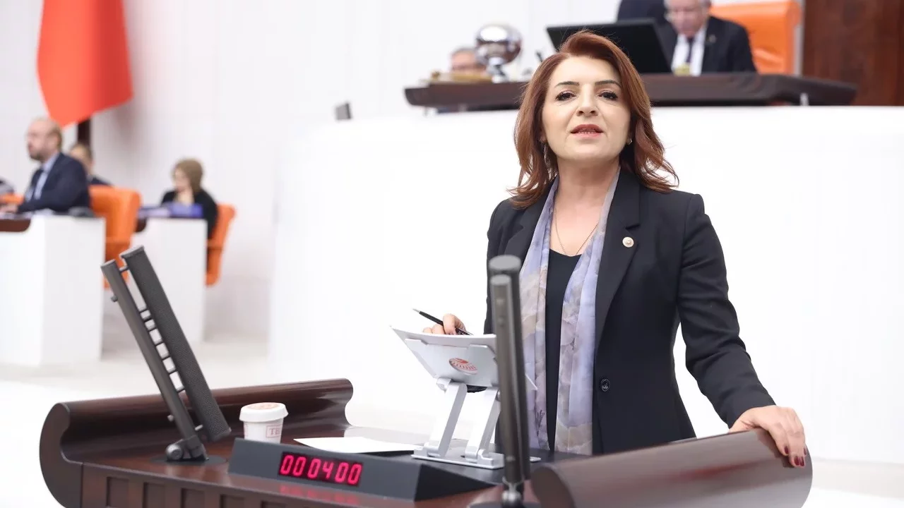 Gülcan Kış: Her 3 Çocuktan Biri Yoksulluk Riski Altında